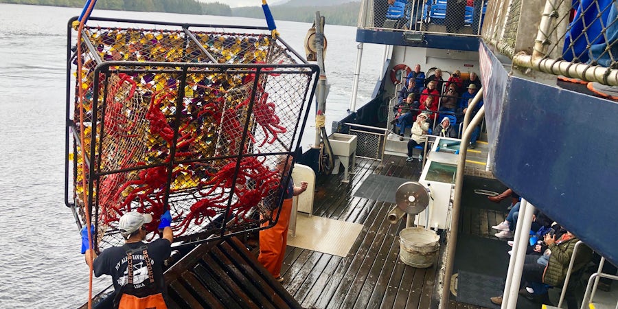 Bering Sea Crab Fishermen's Tour: An Alaska Cruise Excursion