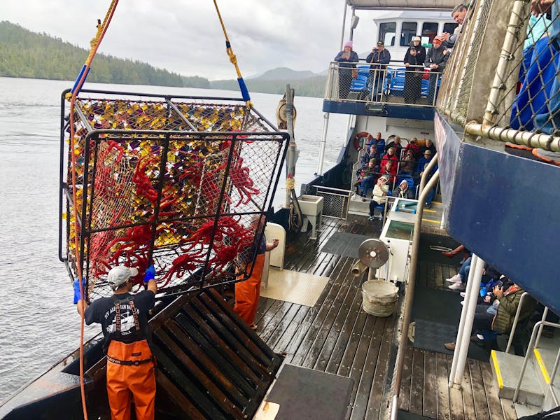 ketchikan crab excursion