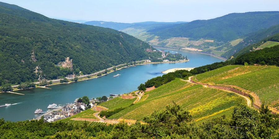 Floating through the heart of Europe. Join a Rhine adventure on the Viking Tialfi
