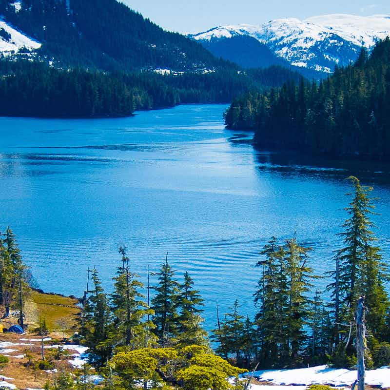 THE 20 BEST Cruises to Whittier, AK 2021 (with Prices) - Whittier THE 20 BEST Cruises to Whittier, AK 2021 (with Prices) - Whittier