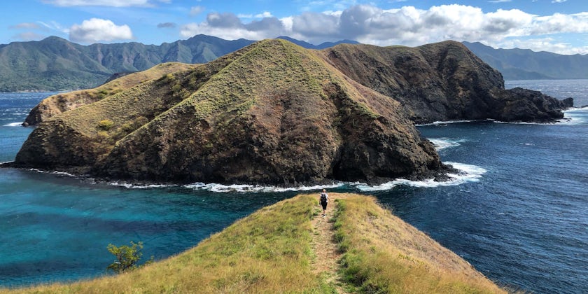 Wide-angle landscape photo of a person walking out to the grassy cliffside of Bat Islands
