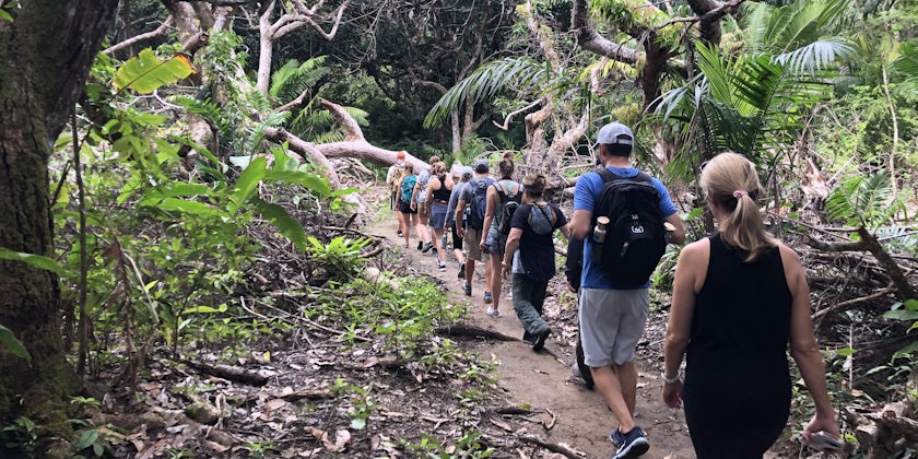 Line of passengers in the forest on a guided hike in Costa Rica with Lindblad Expeditions