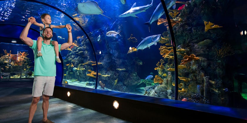 Family visit to the Moody Gardens Aquarium in Galveston, Texas, USA (Photo: Galveston Island Convention & Visitors Bureau)