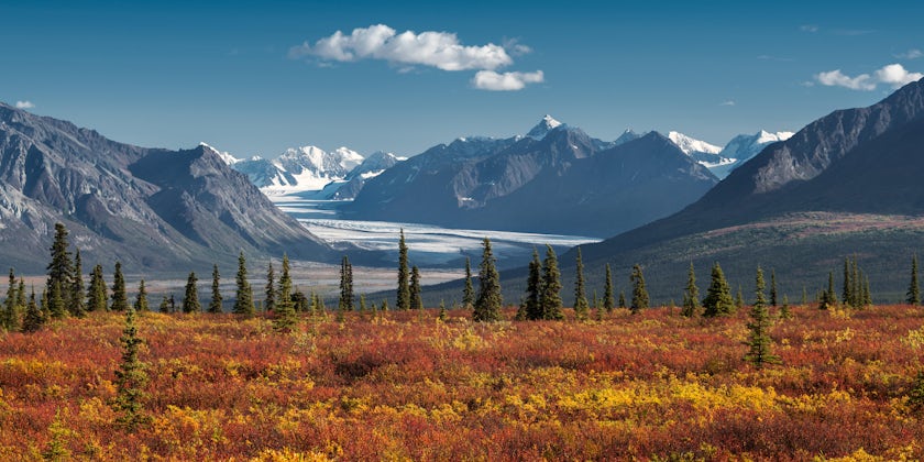 Experience the Yukon with Holland America (Photo: Holland America Line)