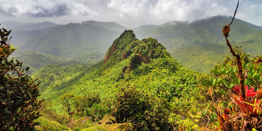 El Yunque National Forest (Photo: Dennis van de Water/Shutterstock.com)