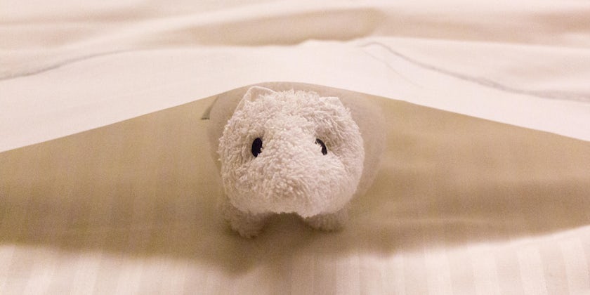 Towel animal on bed in Norwegian Cruise Line stateroom