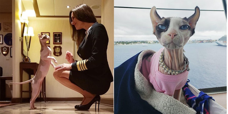 Q&A With Bug Naked, Cruising's Most Famous (and Least Furry) Feline