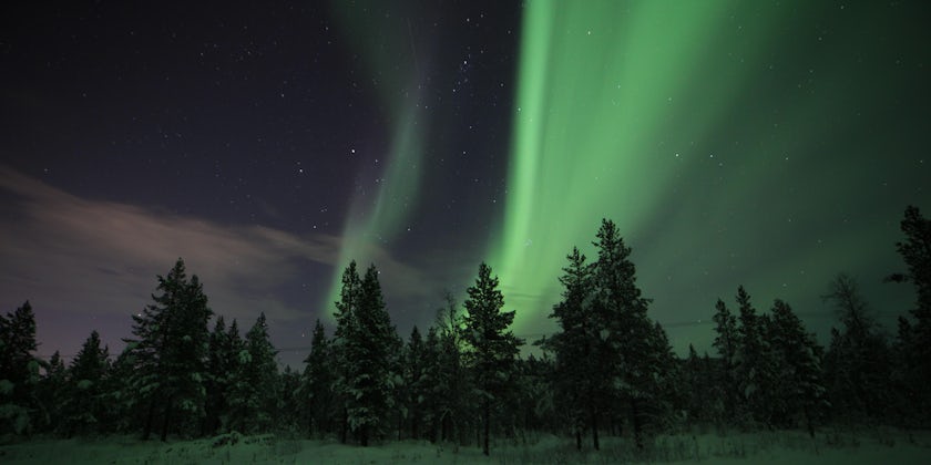 The Northern Lights in Alta, Norway (Photo: maritzarogerp/Cruise Critic member)