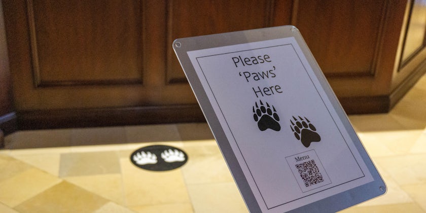 Close-up of bear footprints and sign that directed visitors where to stand at Rimrock Resort Hotel