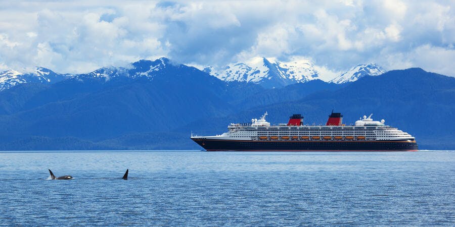 Free Download Royals Iphone 6 Wallpaper Wallpaper For Iphone 6