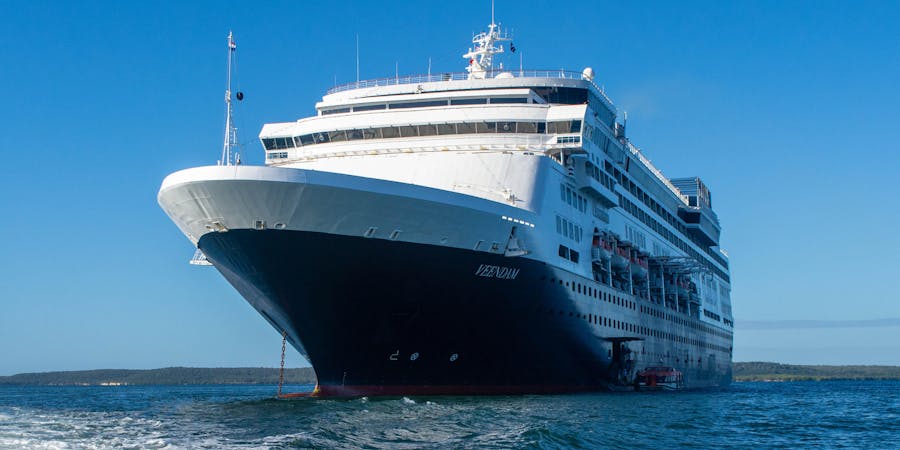 Transsexual climax Cruise critics gay