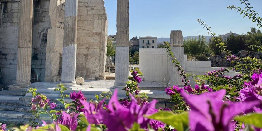 Photo of ruins in Athens, with beautiful fuscia flowers in the forefront
