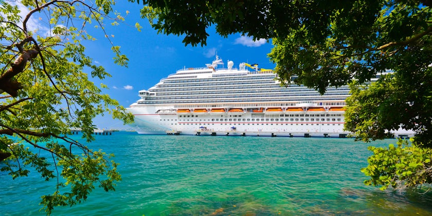 Exterior shot of a cruise ship docked in a Caribbean port, as seen through the trees on a sunny day