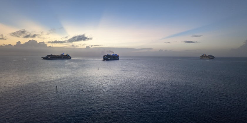 Ships welcome Freedom of the Seas back into service on its first cruise (Photo: Colleen McDaniel)