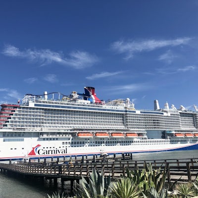 cruises for 2023 from florida