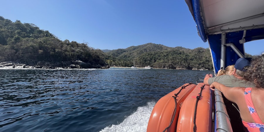Whale Watching and Other Natural Shore Excursions in the Mexican Riviera: Just Back From Majestic Princess