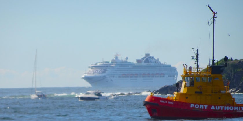 P& O Cruises Australia Pacific Explorer comes through Sydney Heads  April 18 (Photo by Caroline Gladstone)