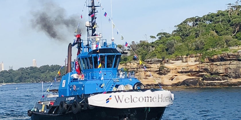 Tug says Welcome Home to Pacific Explorer in Sydney Harbour (Photo by Caroline Gladstone)