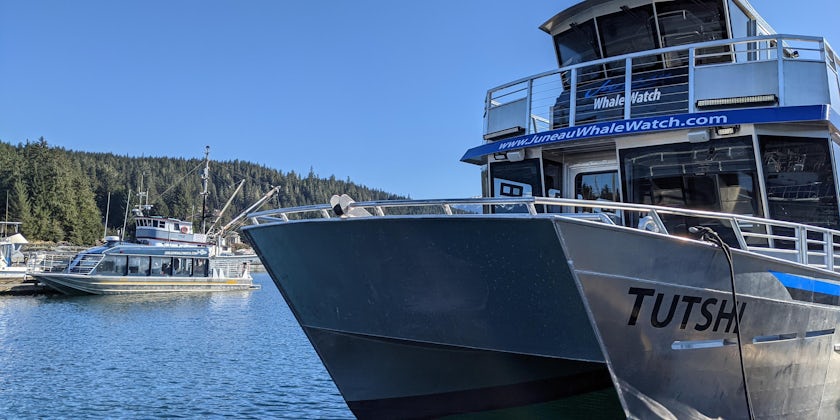 Whale watching boat from  Juneau  Tours and  Whale  Watch (Photo: Katherine Alex Beaven)