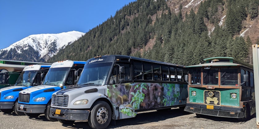 Tour buses in  Juneau,  Alaska (Photo: Katherine Alex Beaven)