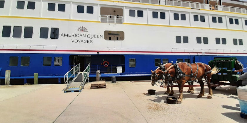 Mackinac Island horses having lunch next to Ocean Voyager (Photo/Jeannine Williamson)