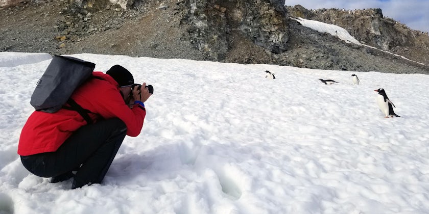 A cruise passenger takes photos of penguin in Antarctica. (Photo: Colleen McDaniel)