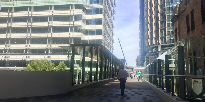 The walk from the White Bay Ferry terminal to King Street, Sydney (Photo: Louise Goldsbury)
