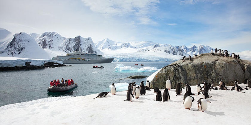 Zodiacs approaching Gentoo penguins in the Antarctica Peninsula (Silversea)