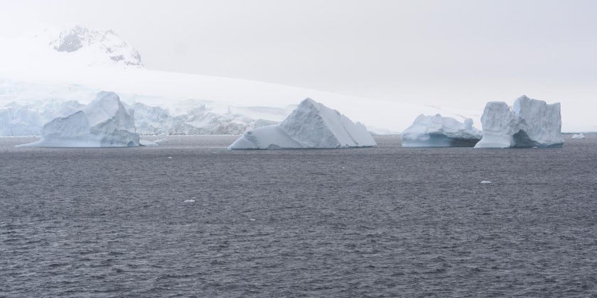 Icebergs in Antarctica seen from Silver Endeavour (Photo: Adam Coulter)