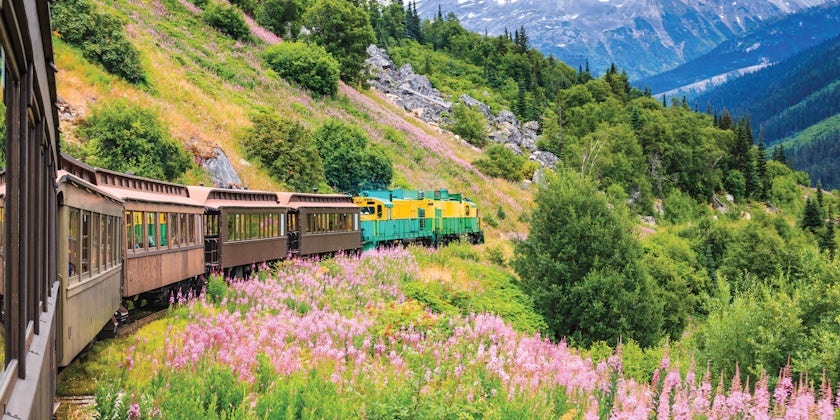 Train Heads Towards Alaskan Town (Photo: Holland America)