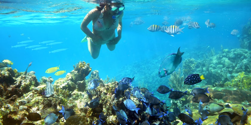 Woman Snorkeling Near the Coral Reef (Photo: soft_light/Shutterstock)