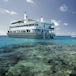Coral Expeditions II Australia & New Zealand Cruise Reviews