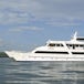 Galapagos Sea Star Journey Cruise Reviews