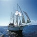 St. Maarten to undefined Sagitta Cruise Reviews