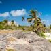 Cruises from Barbados to the Caribbean