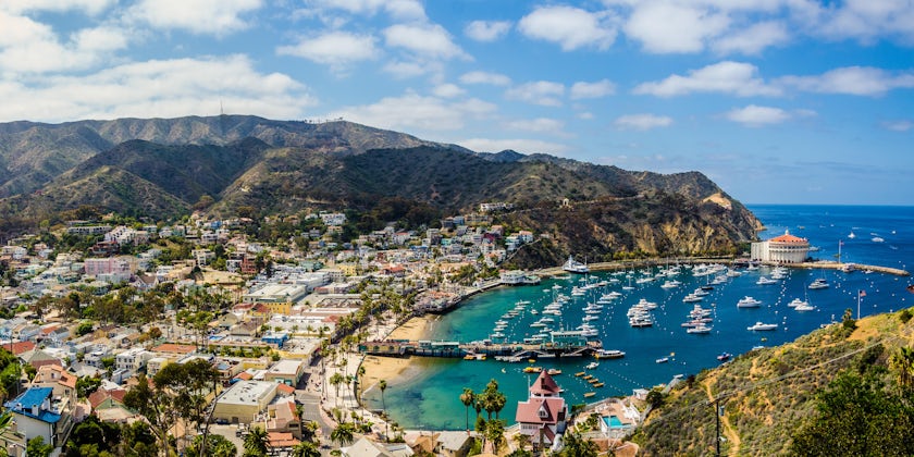 Catalina Island (California) (Photo:Chris Grant/Shutterstock)