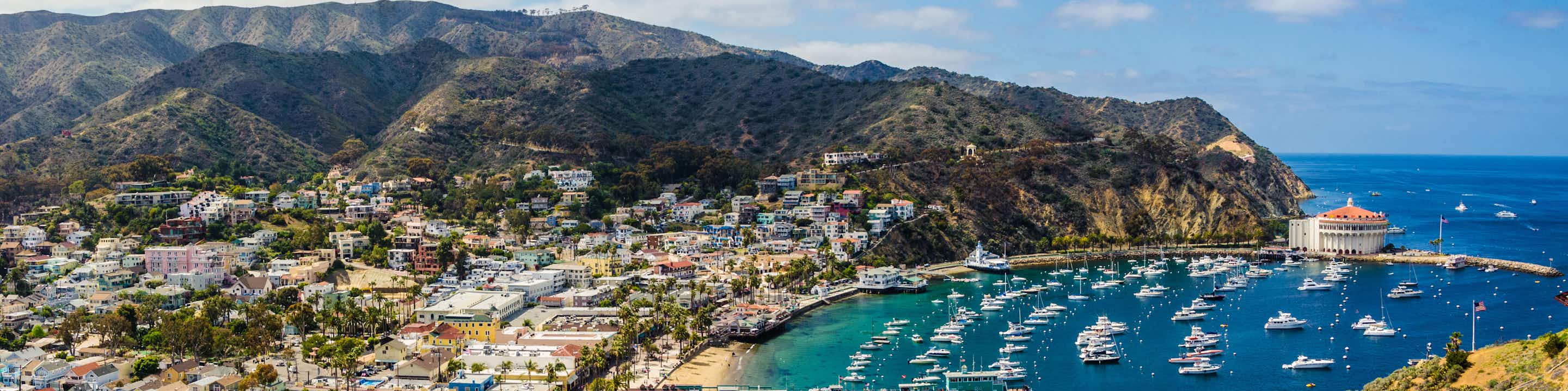 cruises out of catalina island