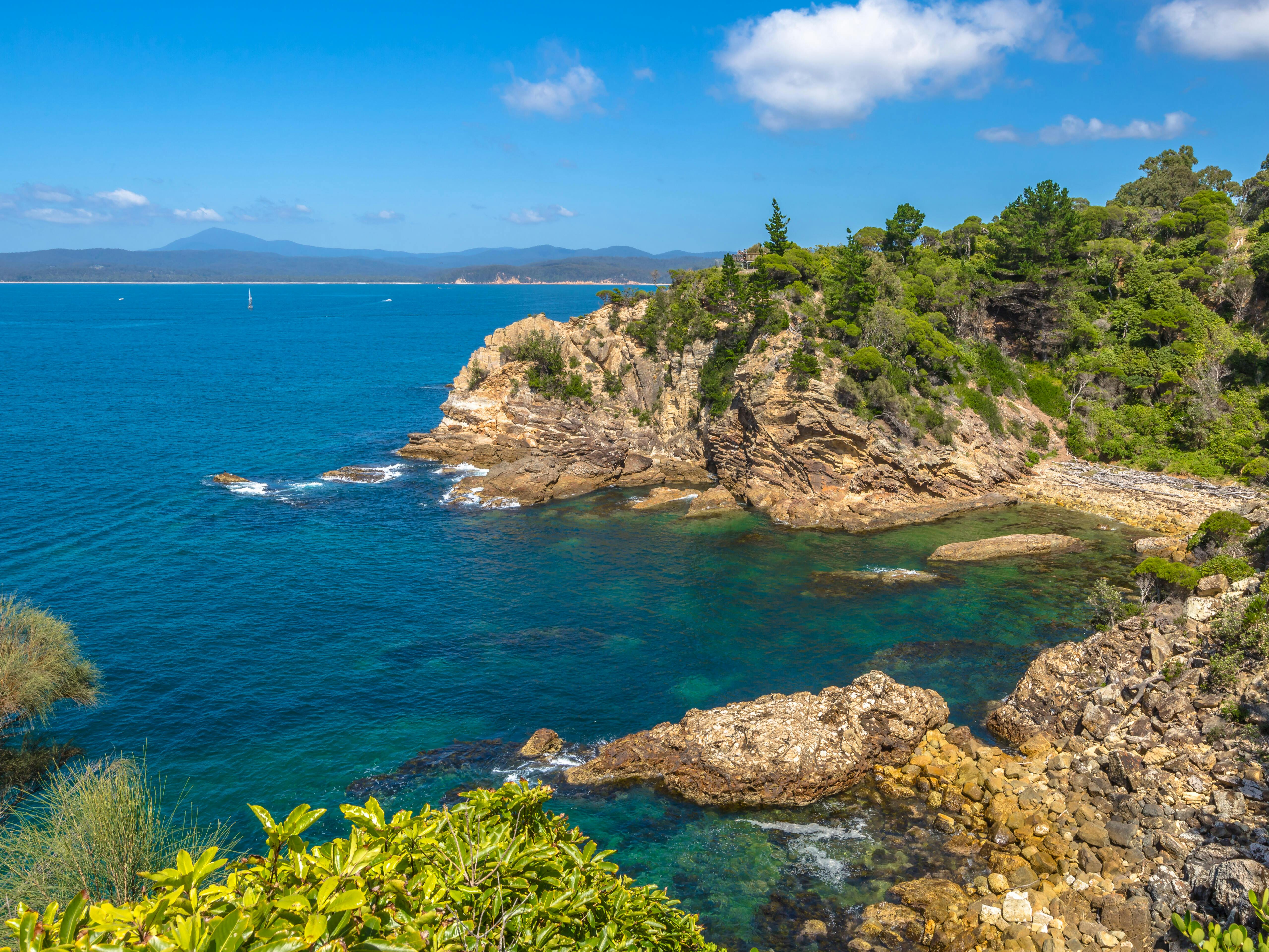 BEST Eden (Australia) Shore Excursions Things to Do, Cruise Day Tour