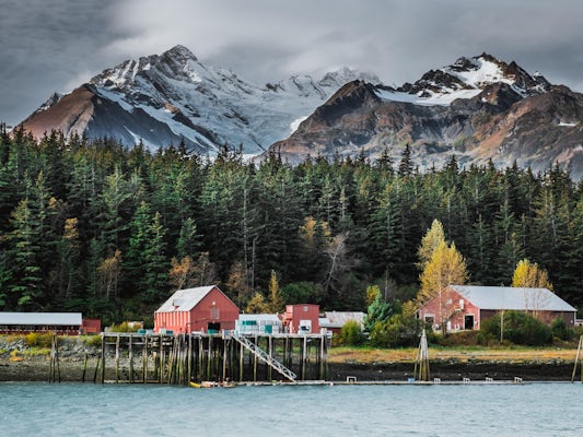best shore excursions in haines alaska