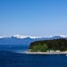 Cruises from California to Icy Strait