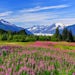 7 Day Cruises from Juneau