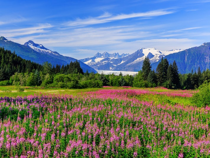Juneau (Photo:Sorin Colac/Shutterstock)