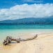 Oceania Cruise Reviews for Cruises to Fiji