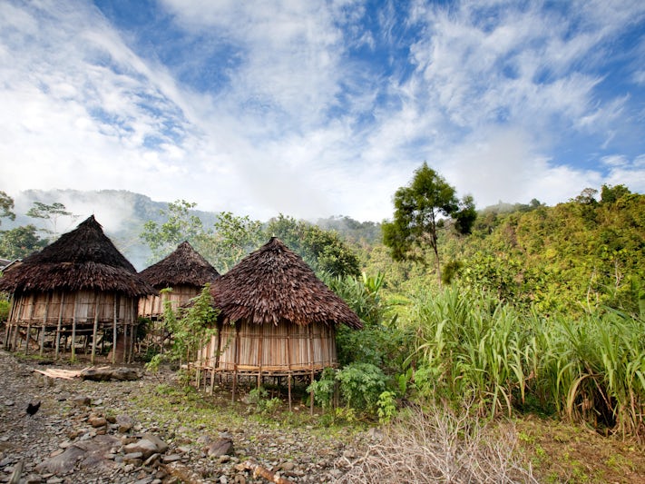 Madang (Photo:Tyler Olson/Shutterstock)