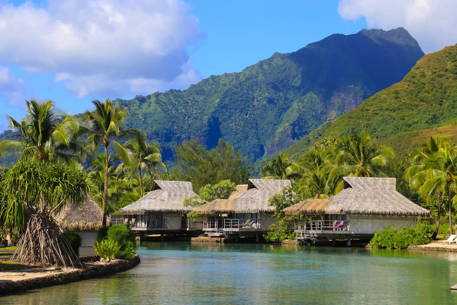 Moorea Excursion 12 BEST Moorea Shore Excursions: Things to Do, Cruise Day Tour ...