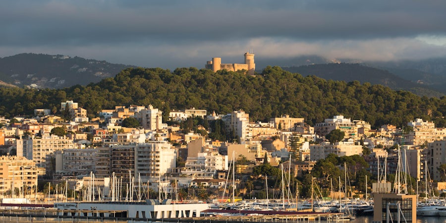 Things to Do in Palma de Mallorca Before a Cruise