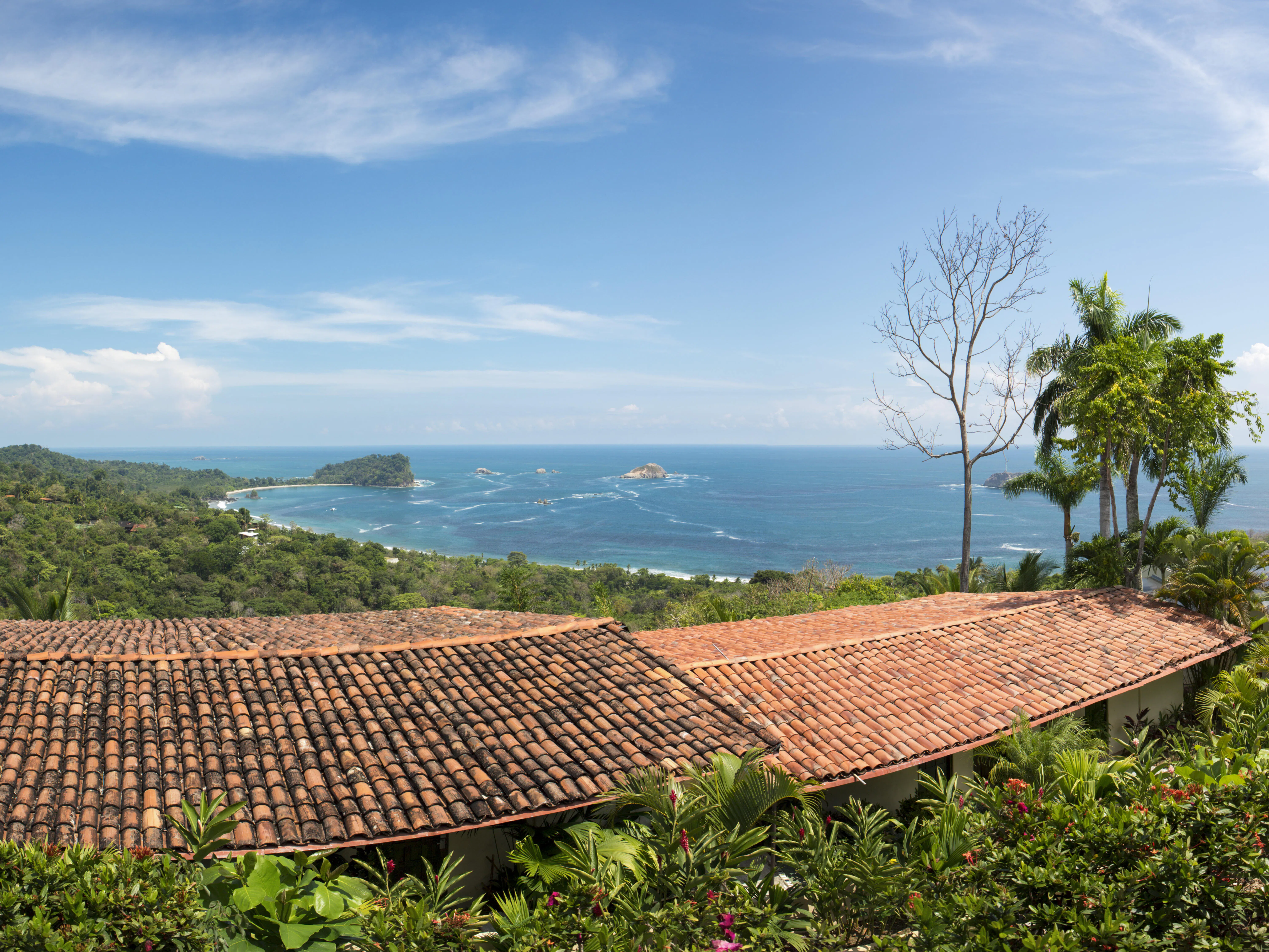 BEST Quepos Shore Excursions Things to Do, Cruise Day Tour & Reviews