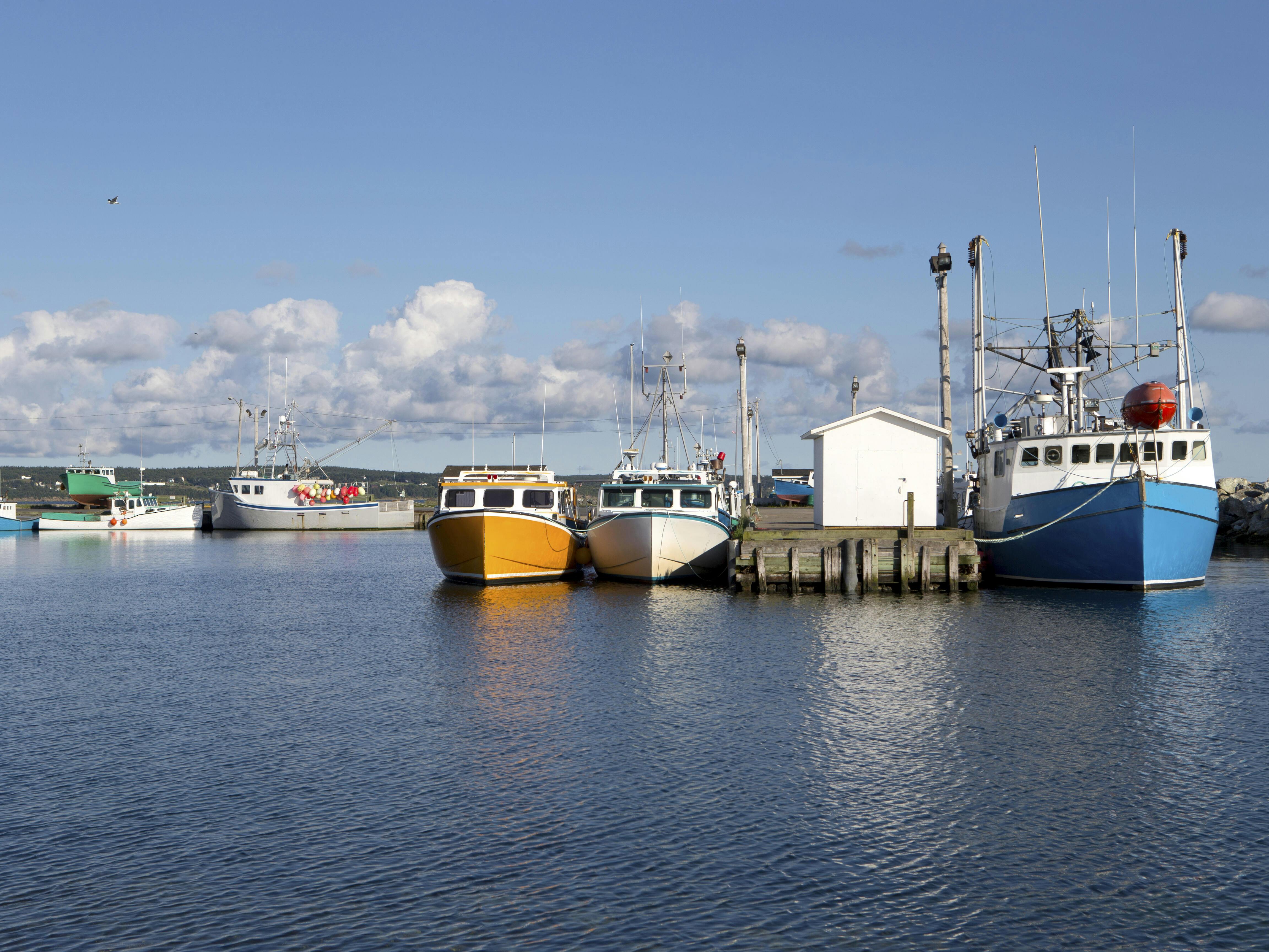 6 BEST Sydney (Nova Scotia) Shore Excursions Things to Do, Cruise Day