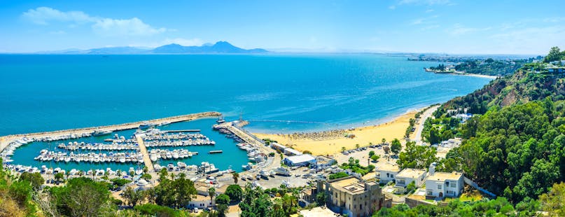 Tunis port