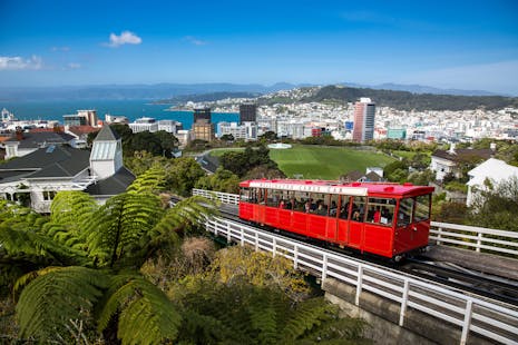 Wellington port